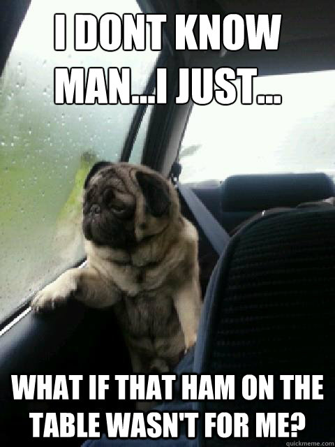 I dont know man...I just...
 What if that ham on the table wasn't for me?  Introspective Pug