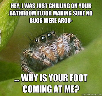 hey, i was just chilling on your bathroom floor making sure no bugs were arou- ... why is your foot coming at me?  Misunderstood Spider