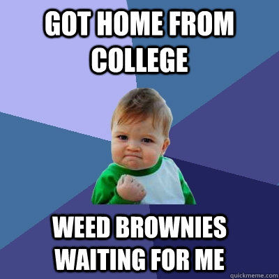 got home from college weed brownies waiting for me  Success Kid
