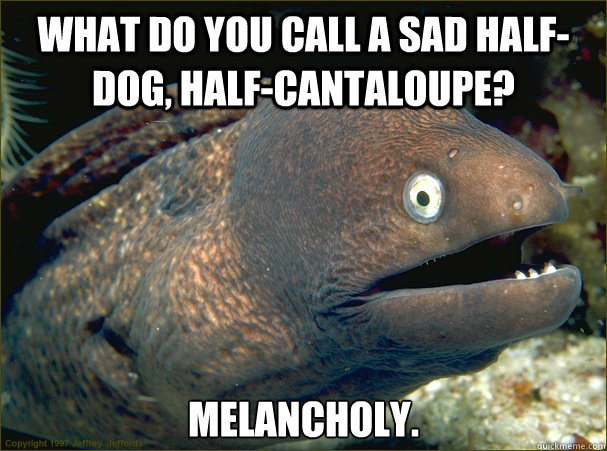 What do you call a sad half-dog, half-cantaloupe?  Melancholy.   Bad Joke Eel