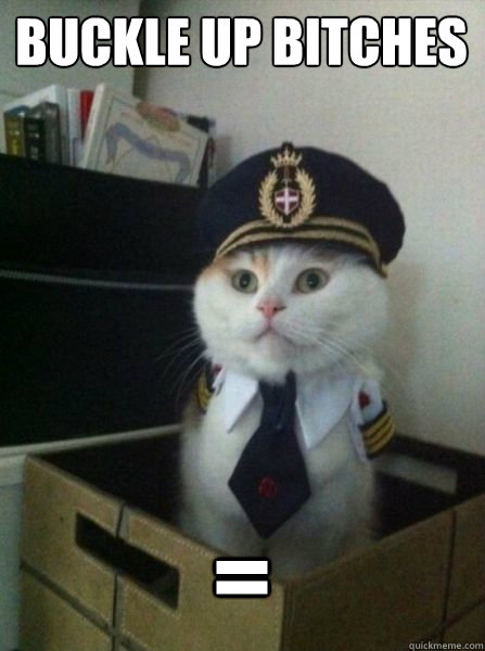 Buckle up bitches =  Captain kitteh
