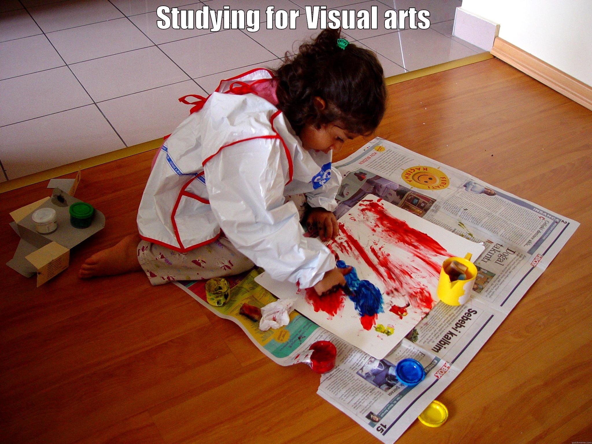 STUDYING FOR VISUAL ARTS  Misc