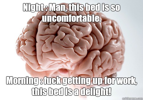 Night : Man, this bed is so uncomfortable.  Morning : fuck getting up for work, this bed is a delight!    Scumbag Brain