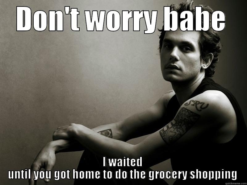 DON'T WORRY BABE I WAITED UNTIL YOU GOT HOME TO DO THE GROCERY SHOPPING Misc