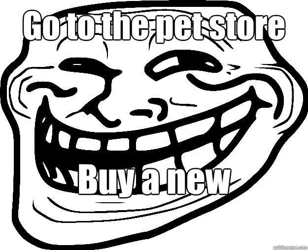 Go to the pet store Buy a new boyfriend   Trollface