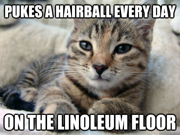 Pukes a hairball every day on the linoleum floor - Pukes a hairball every day on the linoleum floor  Good Guy Cat