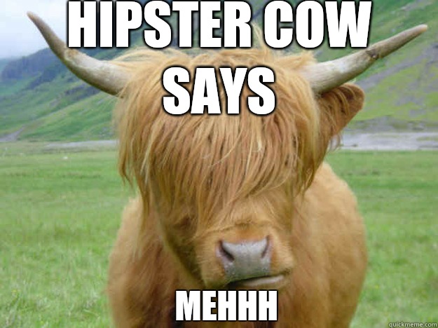 Hipster cow says Mehhh  