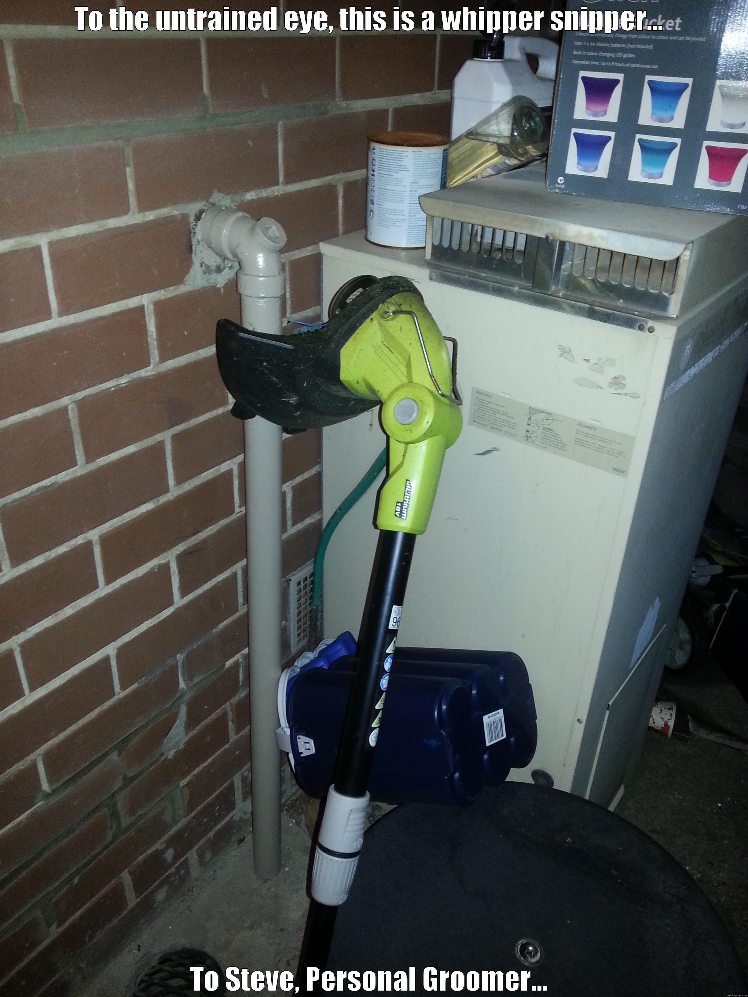 TO THE UNTRAINED EYE, THIS IS A WHIPPER SNIPPER...  TO STEVE, PERSONAL GROOMER...  Misc