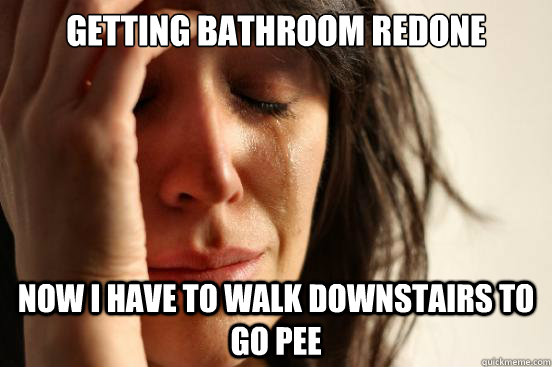 getting bathroom redone now i have to walk downstairs to go pee  First World Problems