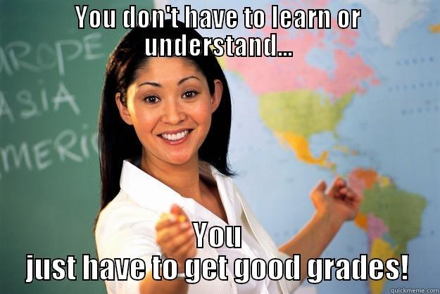 YOU DON'T HAVE TO LEARN OR UNDERSTAND... YOU JUST HAVE TO GET GOOD GRADES! Unhelpful High School Teacher