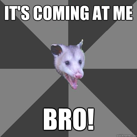 It's Coming at me Bro!  Awesome Possum