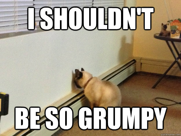 I shouldn't Be so grumpy  Regretful Cat