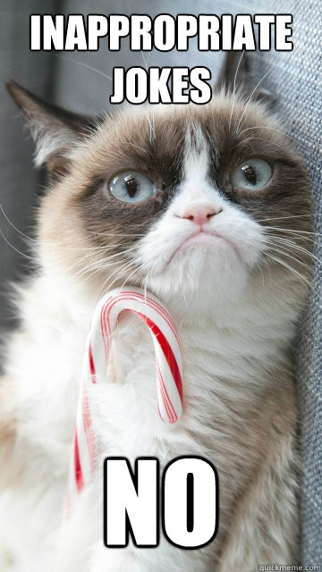 INAPPROPRIATE JOKES NO - INAPPROPRIATE JOKES NO  Candy cane grumpy cat