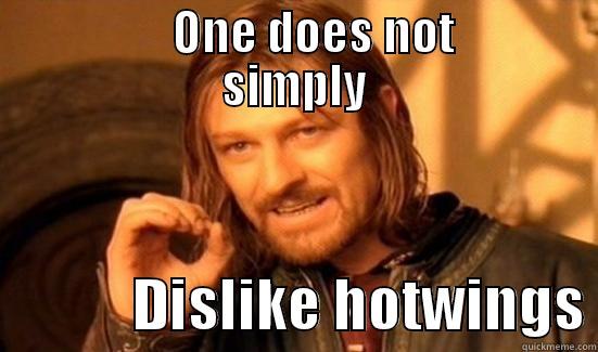           ONE DOES NOT       SIMPLY             DISLIKE HOTWINGS Boromir