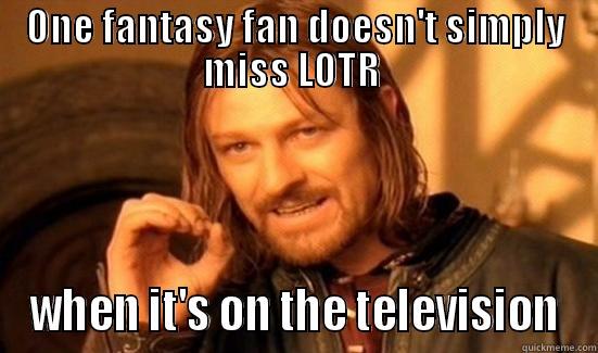 ONE FANTASY FAN DOESN'T SIMPLY MISS LOTR  WHEN IT'S ON THE TELEVISION Boromir