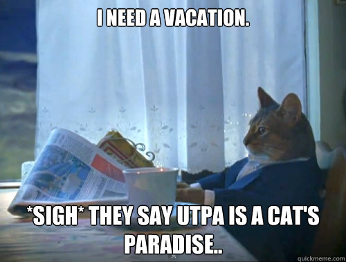 I need a vacation. *sigh* They say UTPA is a cat's paradise..  The One Percent Cat