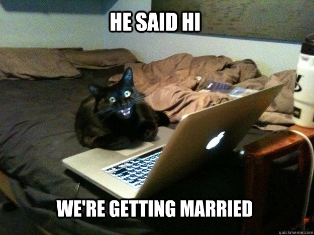 he said hi we're getting married - he said hi we're getting married  excited computer cat