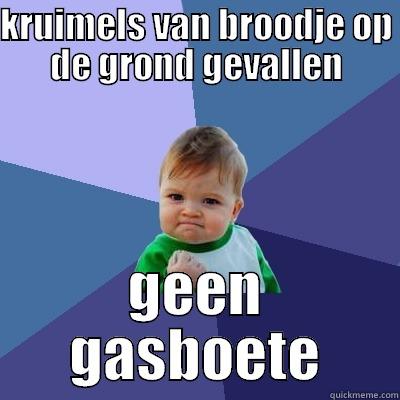 kruimels van broodje - KRUIMELS VAN BROODJE OP DE GROND GEVALLEN GEEN GASBOETE Success Kid