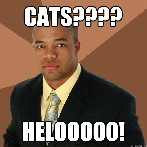 cats???? helooooo!  Successful Black Man