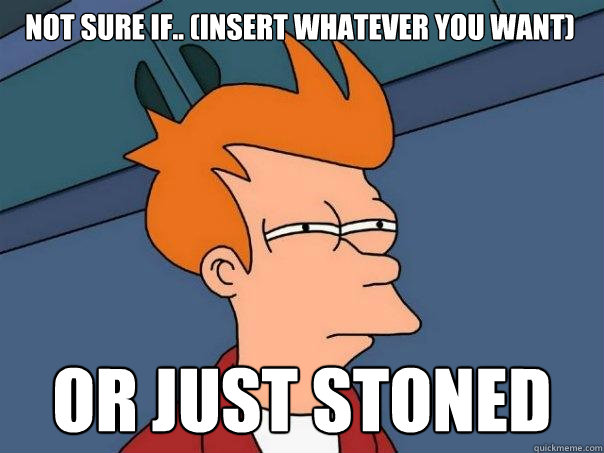 Not sure if.. (insert whatever you want) Or just stoned - Not sure if.. (insert whatever you want) Or just stoned  Futurama Fry