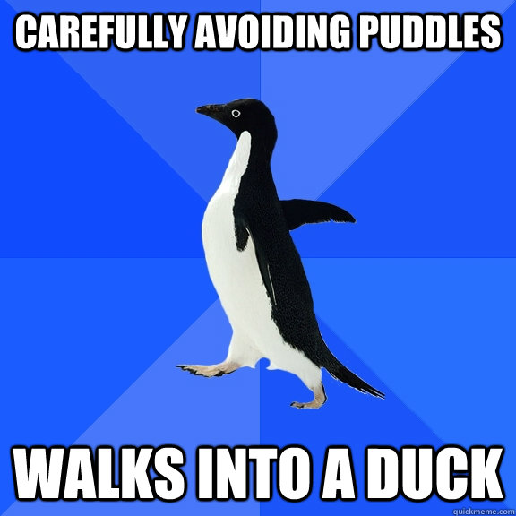 Carefully avoiding puddles  Walks into a duck  Socially Awkward Penguin