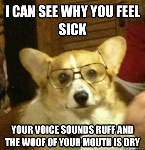 I can see why you feel sick Your voice sounds ruff and the woof of your mouth is dry - I can see why you feel sick Your voice sounds ruff and the woof of your mouth is dry  Dr. Dog