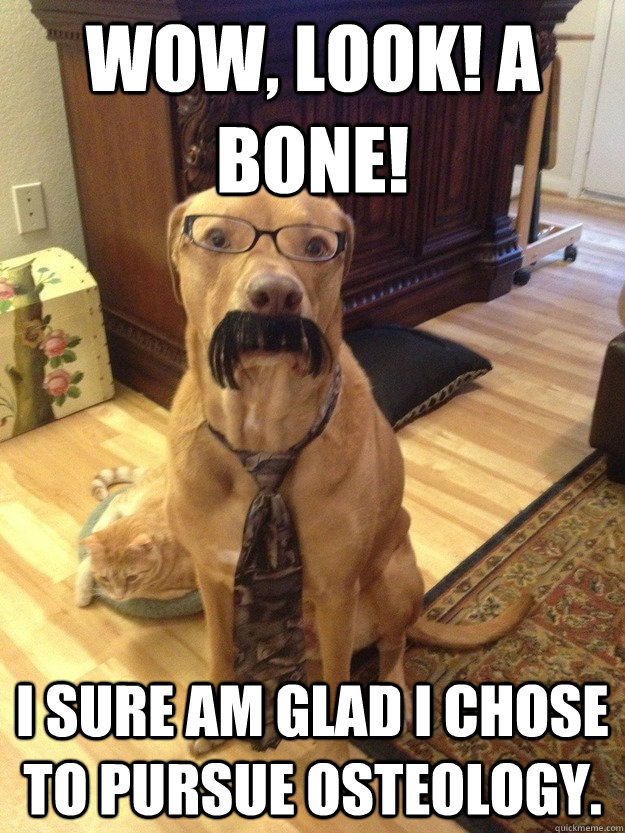 WOW, LOOK! A BONE! I SURE AM GLAD I CHOSE TO PURSUE OSTEOLOGY.  Professor Dog