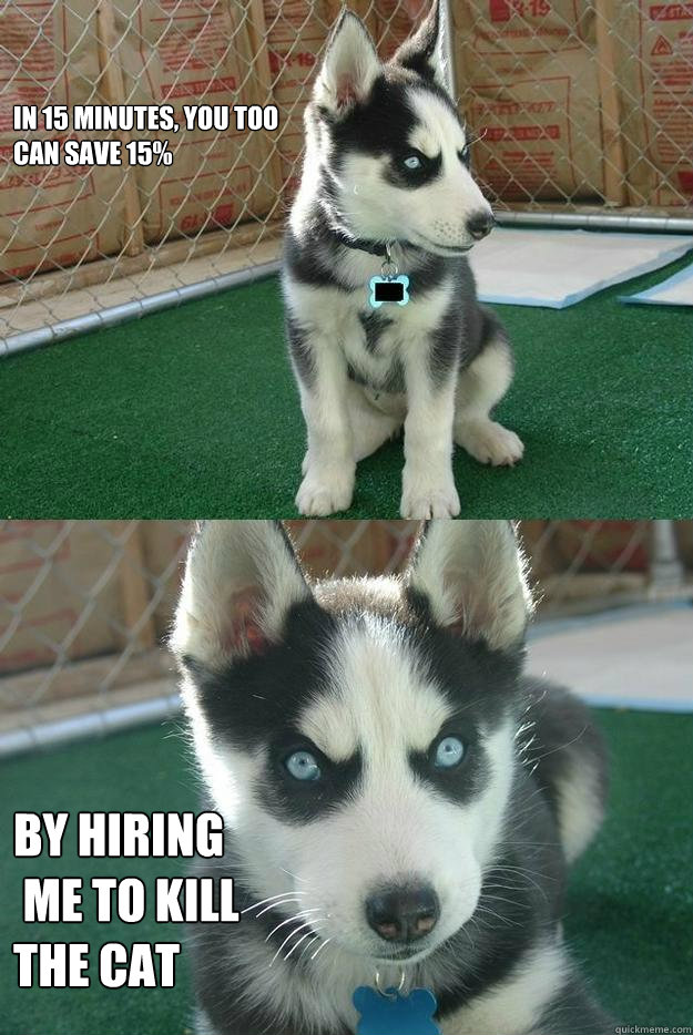 in 15 minutes, you too
can save 15% By hiring
 me to kill 
the cat  Insanity puppy