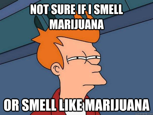 Not sure if i smell marijuana or smell like marijuana  Futurama Fry