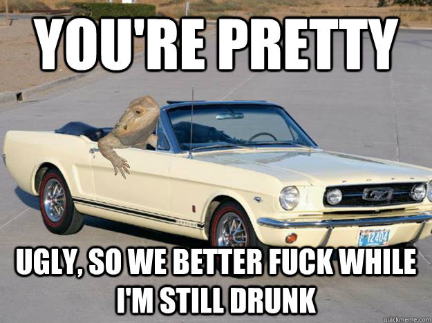 You're pretty ugly, so we better fuck while I'm still drunk  Pickup Dragon
