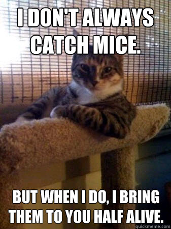 I don't always catch mice. but when I do, I bring them to you half alive.  The Most Interesting Cat in the World