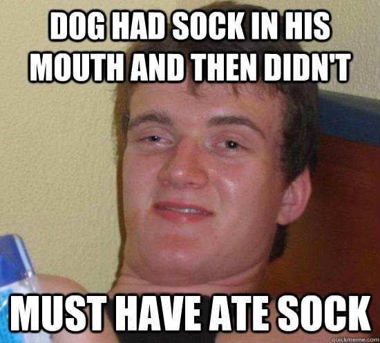 Dog had sock in his mouth and then didn't MUST HAVE ATE SOCK  Really High Guy