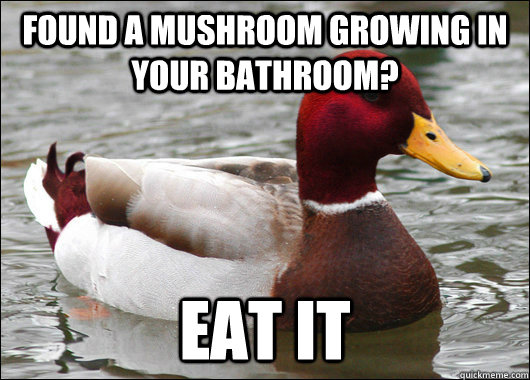 found a mushroom growing in your bathroom? eat it  Malicious Advice Mallard