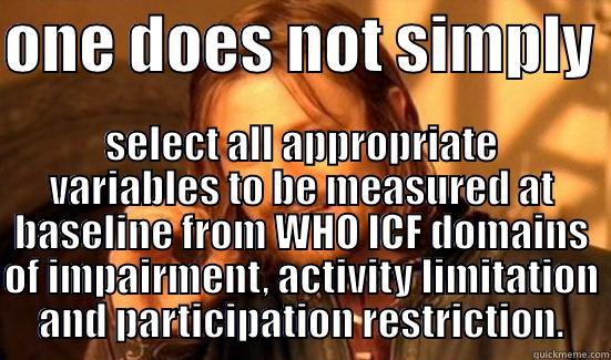 ONE DOES NOT SIMPLY  SELECT ALL APPROPRIATE VARIABLES TO BE MEASURED AT BASELINE FROM WHO ICF DOMAINS OF IMPAIRMENT, ACTIVITY LIMITATION AND PARTICIPATION RESTRICTION. Boromir