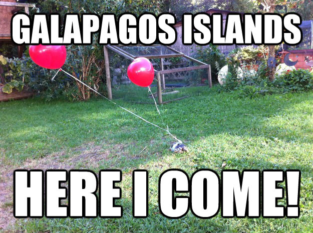 GALAPAGOS ISLANDS HERE I COME!  