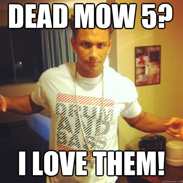Dead Mow 5? I Love Them!  Drum and Bass DJ Pauly D