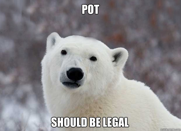 pot should be legal  Popular Opinion Polar Bear