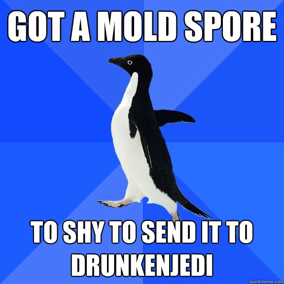 GOT A MOLD SPORE TO SHY TO SEND IT TO DRUNKENJEDI  Socially Awkward Penguin