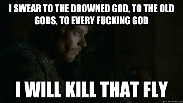 I swear to the drowned god, to the old gods, to every fucking god i will kill that fly - I swear to the drowned god, to the old gods, to every fucking god i will kill that fly  Frustrated Theon
