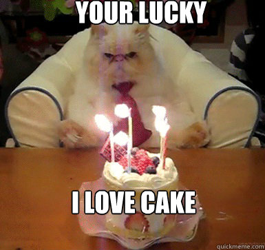 your lucky  i love cake - your lucky  i love cake  Cake Day Cat