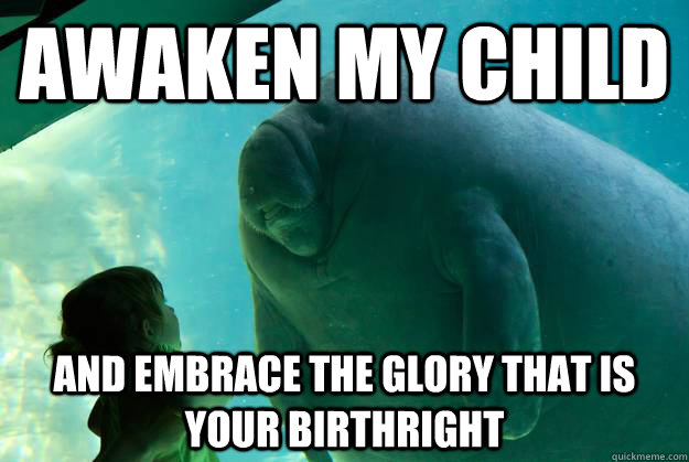 Awaken my child And embrace the glory that is your birthright  Overlord Manatee