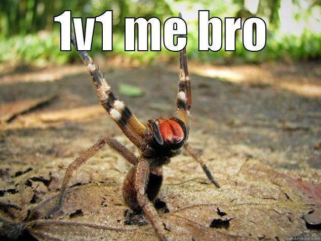   1V1 ME BRO   Misc