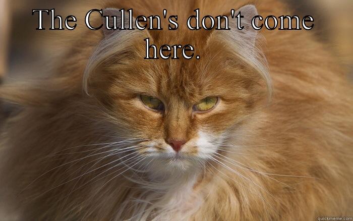 THE CULLEN'S DON'T COME HERE.  Misc