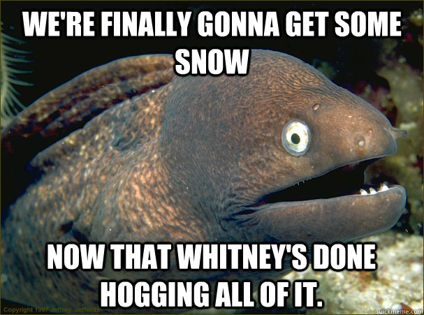 We're finally gonna get some snow now that Whitney's done hogging all of it.  Bad Joke Eel