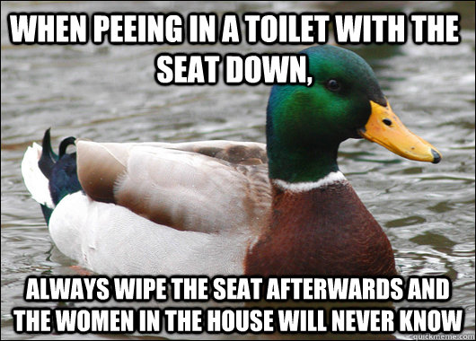 When peeing in a toilet with the seat down,  Always wipe the seat afterwards and the women in the house will never know  Actual Advice Mallard