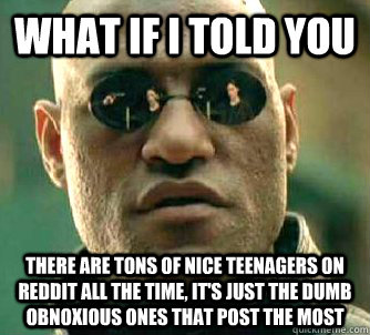 What if I told you there are tons of nice teenagers on reddit all the time, it's just the dumb obnoxious ones that post the most  What if I told you