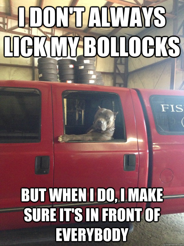 I don't always lick my bollocks But when I do, I make sure it's in front of everybody   - I don't always lick my bollocks But when I do, I make sure it's in front of everybody    The Most Interesting Dog in the World