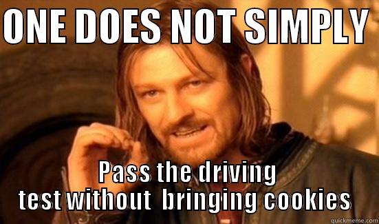 ONE DOES NOT SIMPLY  PASS THE DRIVING TEST WITHOUT  BRINGING COOKIES  Boromir