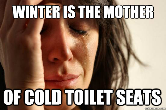 Winter is the mother of cold toilet seats  First World Problems