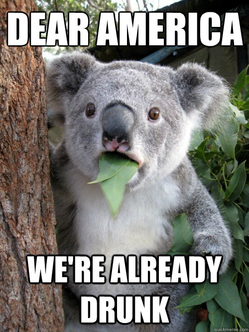 Dear America We're already drunk  Surprised Koala